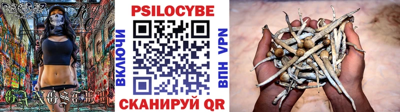 OMG зеркало  Нюрба  Галлюциногенные грибы GOLDEN TEACHER 